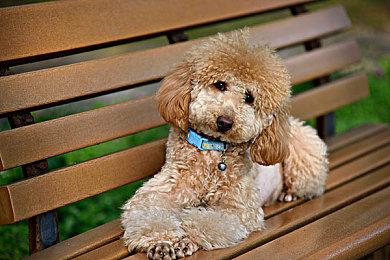 太空狼人杀游戏《我们之中》VR版 将于11月11日发售